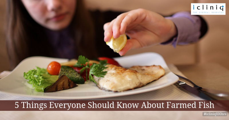 5 Things Everyone Should Know About Farmed Fish