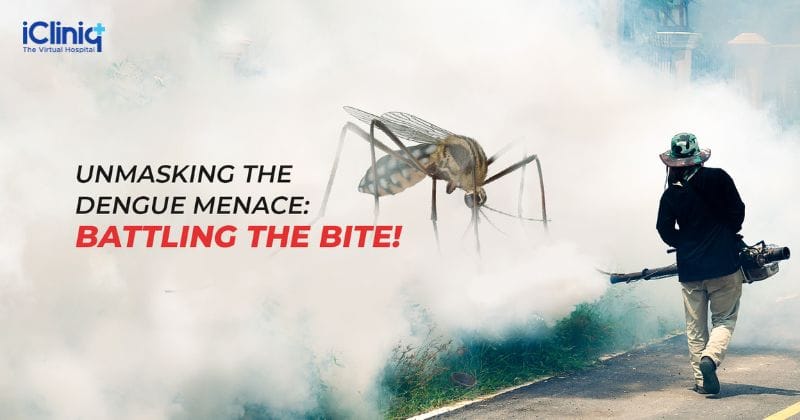 Unmasking the Dengue Menace: Battling the Bite!