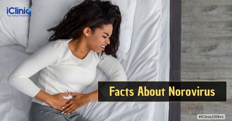 Facts About Norovirus