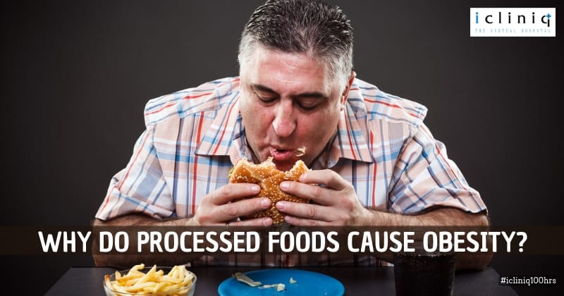 Why do processed foods cause obesity?