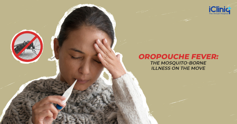 Oropouche Fever: The Mosquito-Borne Illness on the Move