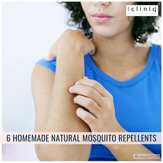 6 Homemade Natural Mosquito Repellents