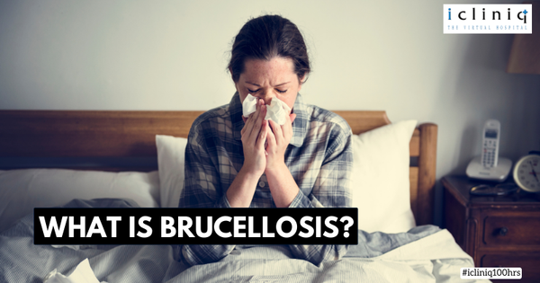 What Is Brucellosis?