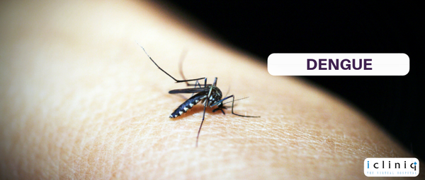 Does Dengue arise only because of Mosquitoes?