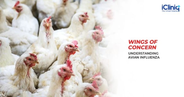 Wings of Concern - Understanding Avian Influenza