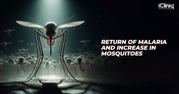 Return of Malaria and Increase in Mosquitoes